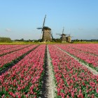 Uitstapjes in de provincies van Nederland